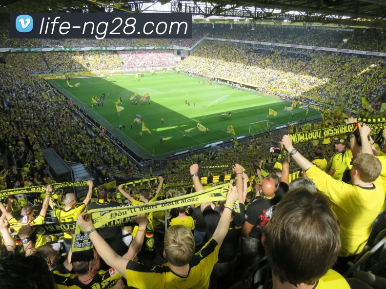 NG体育官网APP 高清赛事图